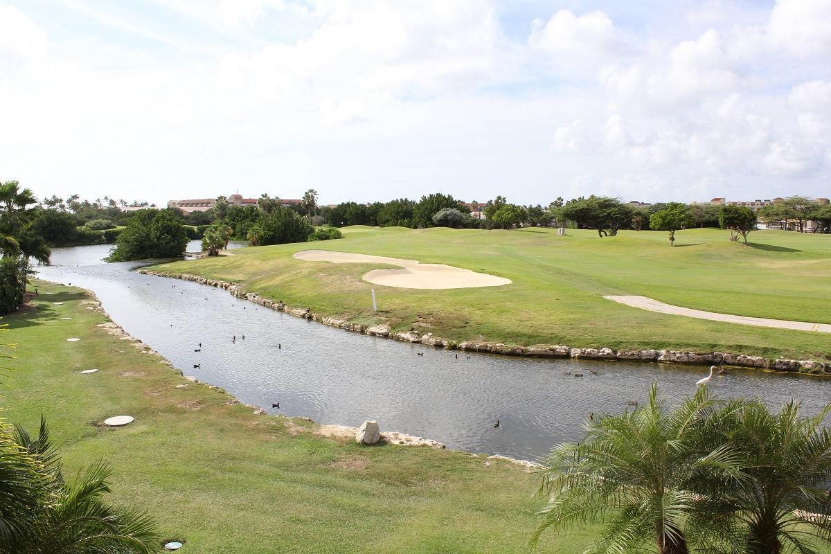 Divi Studio Palm Beach Eksteriør bilde
